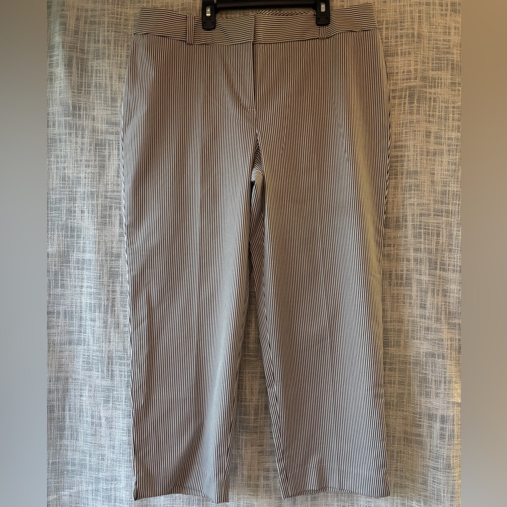 Talbots “Signature” Striped Pants